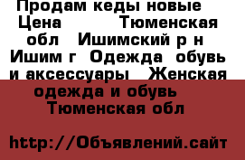 Продам кеды новые  › Цена ­ 300 - Тюменская обл., Ишимский р-н, Ишим г. Одежда, обувь и аксессуары » Женская одежда и обувь   . Тюменская обл.